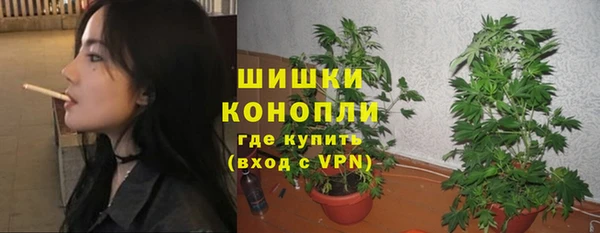 амф Надым