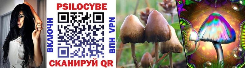 Галлюциногенные грибы MAGIC MUSHROOMS Зерноград